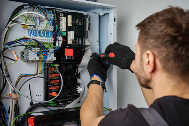 Licensed Electrical Panel Upgrade service in Bass Lake, IN - No Joke electrician